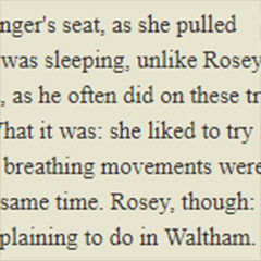 The avocado essay 08 image